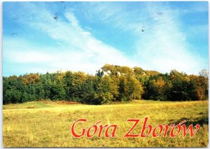 VINTAGE CONTINENTAL SIZE POSTCARD ZBOROV MOUNTAIN NEAR PODLESICE POLAND