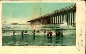 LONG BEACH CA, Big Breakers, Beach, Swimmers, 1905 Vintage Postcard CA827663