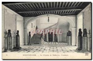 Old Postcard Montpellier's Faculty of Medicine Hall