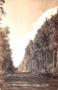 Road Scene - Northwoods, Minnesota MN Postcard