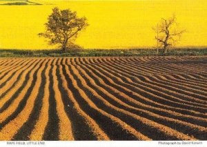 Little End Ongar Chipping Essex Fields Field Rare Womens Institute Postcard