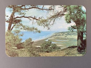 Torrey Pines CA Chrome Postcard A1155094025