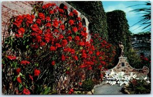 Postcard - Poinsettias in front of Campanario, Mission San Juan Capistrano, CA