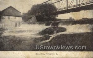Hoag Dam - Manchester, Iowa IA