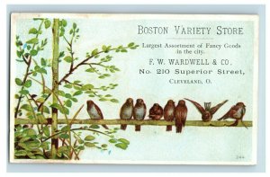 1880's F.W. Wardwell Lovely Cleveland, OH Lovely Birds Trade Cards P120