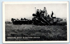 EASTERN OREGON ~ HORSE DRAWN WHEAT HARVESTING c1940s  Postcard