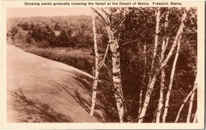 Sands Gradually Covering Forest Desert of Maine Freepot ME Postcard R37