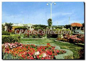 Modern Postcard Narbonne Aude Central Boulevard and Garden Floral