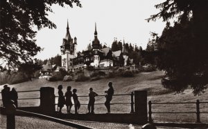 Romania Sinaia Muzeul Peleş Vintage RPPC C243