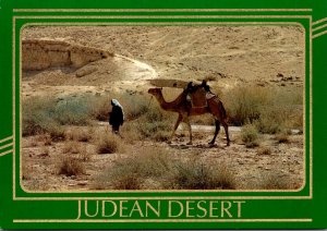 Israel Judean Desert Scene With Camel