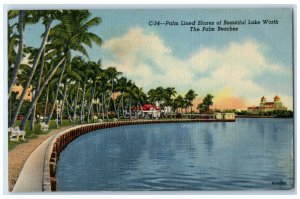 1957 Palm Lined Shores of Beautiful Lake Worth, Palm Beaches FL Postcard