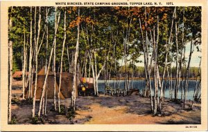 Postcard NY Tupper Lake White Birches camping grounds received without postmark