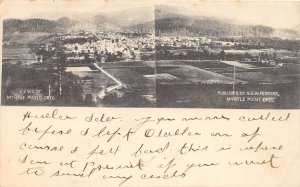 J31/ Myrtle Point Oregon Postcard c1910 View of Myrtle Point Homes 324