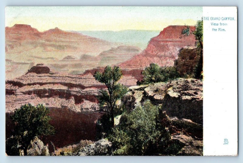 The Grand Canyon Arizona AZ Postcard View From The Rim c1905 Unposted Antique