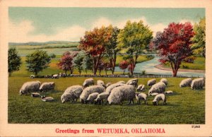 Oklahoma Greetings From Wetumka