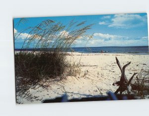 Postcard Beautiful white sandy beach on Florida's West-coast, Florida