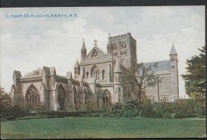 Hertfordshire Postcard - St Albans Abbey From The North East     BR987