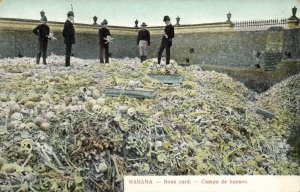 cuba, HAVANA, Bone Yard, Campo de Huesos (1910s) Postcard