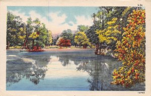 Outdoor Scene Misc, North Carolina NC Postcard