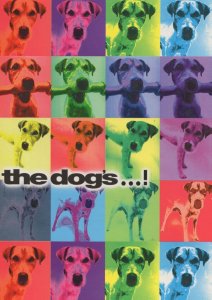 The Prodigy Radiohead Suede Blur Oasis Dogs CD Advertising Postcard