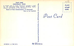Piatt Park Cincinnati, Ohio OH Postcard