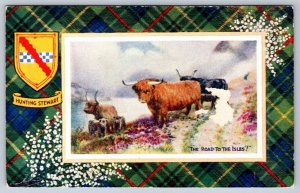 Hunting Stewart Tartan Road To The Isles Highland Angus Cattle Antique Postcard