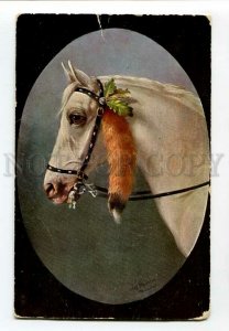 3134401 Head of Arabian HORSE Fox Tail by SCHONIAN Vintage TSN