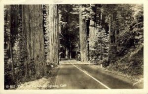 Real photo, Thru the Redwood highway - MIsc, California CA  