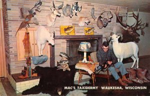 Waukesha Wisconsin Mac's Taxidermy Vintage Postcard AA9091