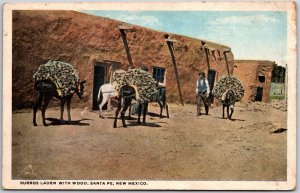 Burros Laden With Wood Santa Fe New Mexico Camel  Mexican Farm Wagons Postcard