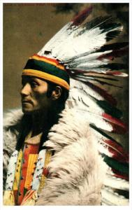 American Indian REPO   Indian Chief