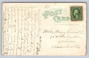 1913 Alligator Eggs Hatching  Florida   Postcard