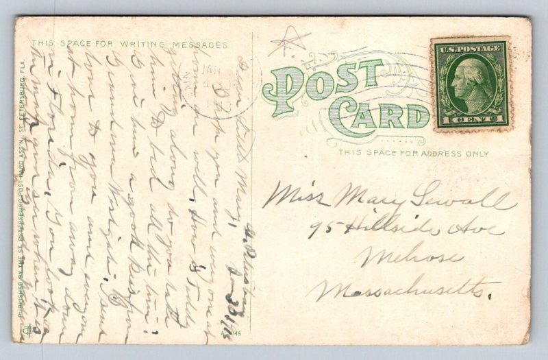 1913 Alligator Eggs Hatching  Florida   Postcard