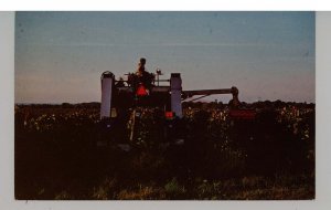 PA - North East. Mechanical Grape Harvester