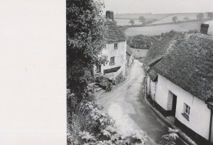Thatched Cottage West Worlington Devon Award Photo Postcard