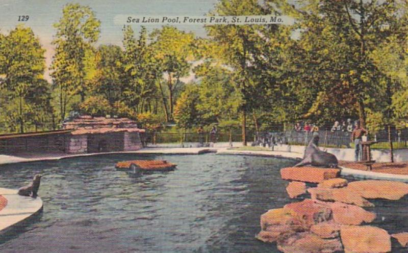 Missouri St Louis Sea Lion Pool In Forest Park