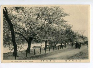 3025287 JAPAN OSAKA Cherry-tree at Mint Vintage PC