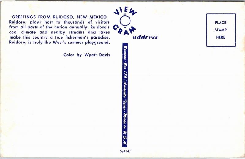 Girls Playing in Ruidoso River, Ruidoso New Mexico Vintage Postcard M03
