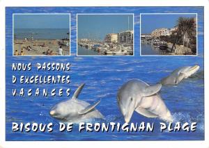 BR56373 Frontignan plage dauphine dolphins Animaux animals