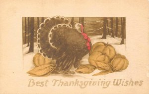 BEST THANKSGIVING WISHES Turkey & Pumpkins 1910 Hand-Colored Greetings Postcard