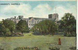 Yorkshire Postcard - University - Sheffield - Ref 9856A