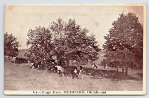 Medford Oklahoma OK~Cattle Grazing~Brown Farms Greetings Postcard