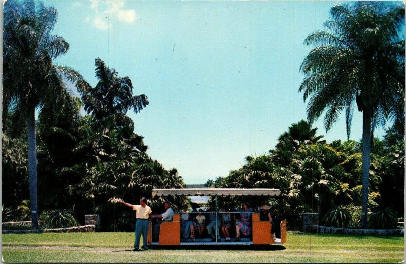 Rambler Fairchild Tropical Garden Coral Gables FL Florida VTG Postcard UNP 