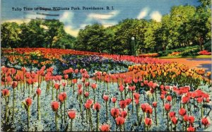 postcard Providence Rhode Island - Tulip Time in Roger Williams Park