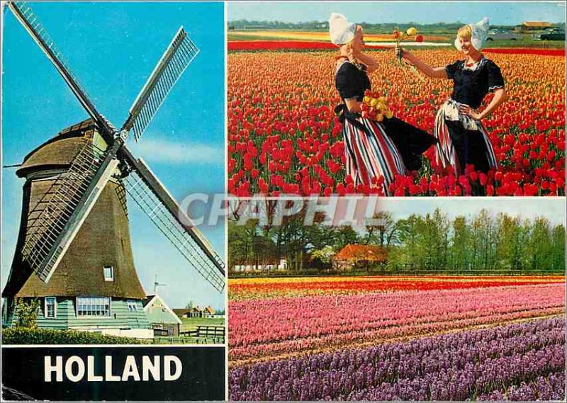 Modern Postcard Holland