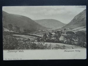 Wales LLANWRTYD WELLS Abergwessin Valley c1904 Postcard by The Wrench Series 408