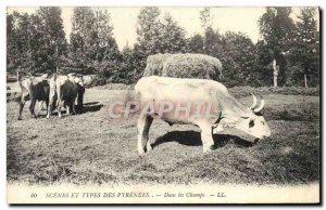 Old Postcard Folklore Pyrenees In Oxen fields