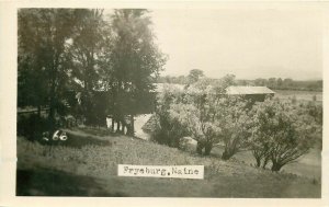 ME, Fryeburg, Maine, Covered Bridge, No. 266, RPPC