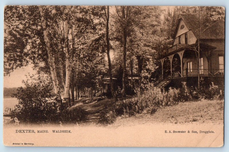 Dexter Maine Postcard Waldheim Exterior Building c1905 Raphael Tuck Sons Vintage