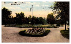 Postcard PARK SCENE Toledo Ohio OH AR8063